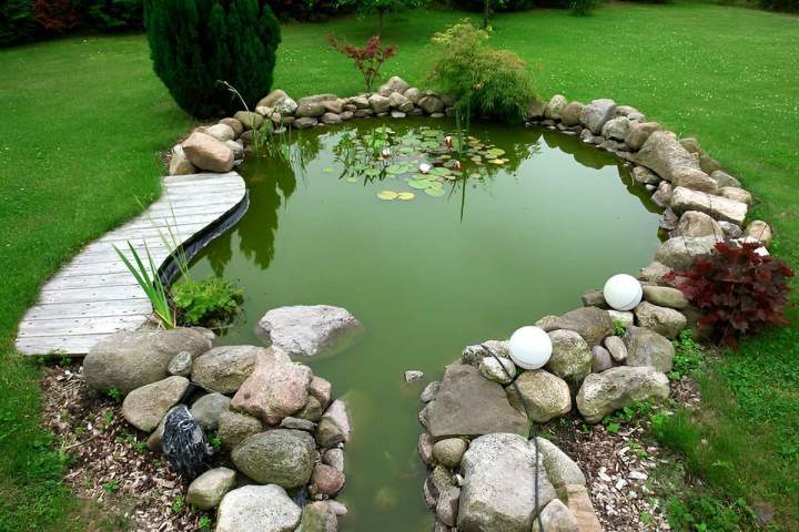Aménagement de plan d’eau harmonieux
